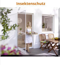 Insektenschutz